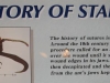 ant_stapling.jpg