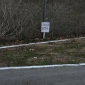 doggiearea.jpg