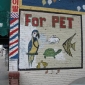 for_pet.jpg