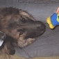 hedda_hedinlegs.jpg