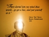 henry_box_brown.jpg
