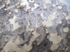 jig_saw_puzzle_bark.jpg